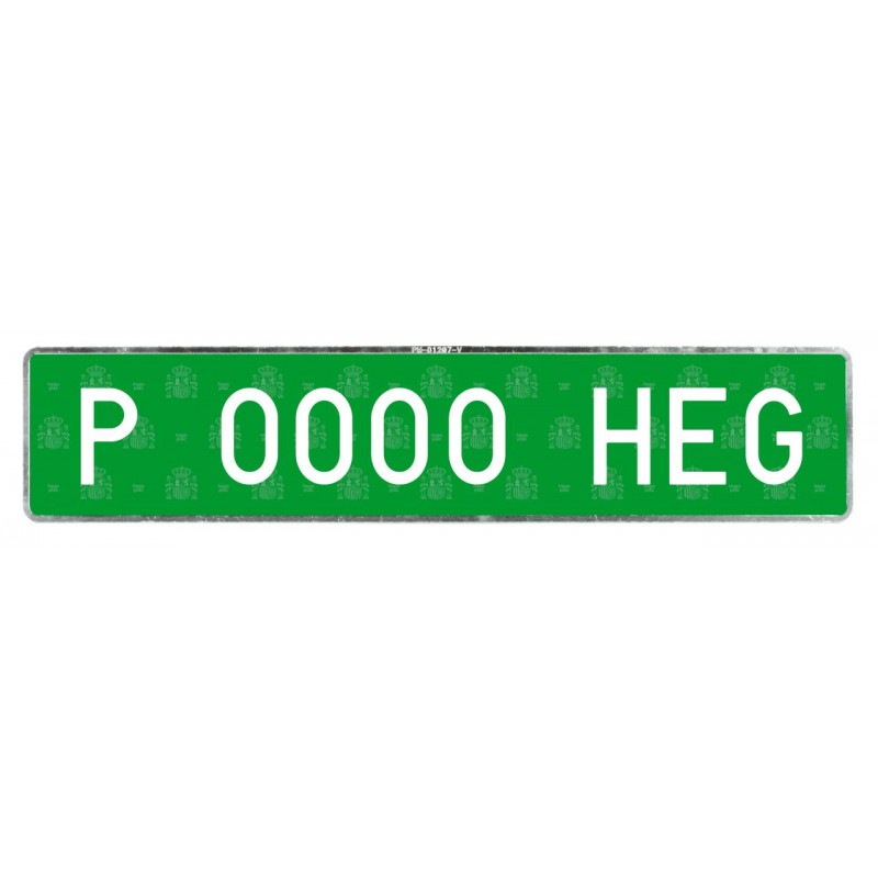 PLACA TEMPORAL PARTICULAR LARGA
