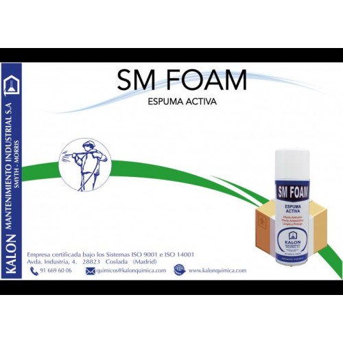LIMPIA TAPICERIA SM-FOAM - 500 cc